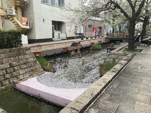 【高知】雨の一日