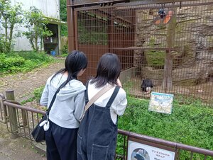 250509115818788.JPG