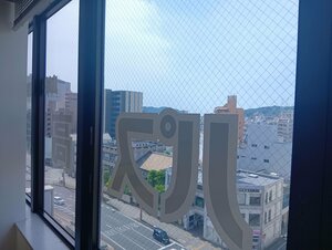 【高知】真夏日🍉