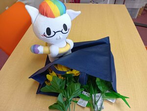 【高知】季節🌼