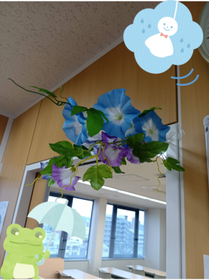 【高知】梅雨といえば...