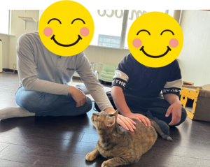 【高知】ねこプロ😸