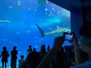 IMG_1289.jpg