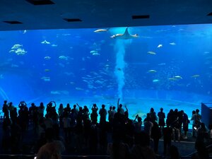 IMG_1278.jpg