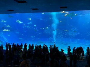 【高知】沖縄本校スクーリング　３日目編③🐡