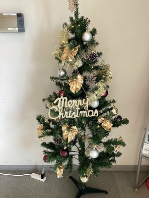 【高知】師走に入りました！