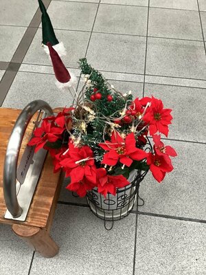 【高知】Merry　Christmas🎄