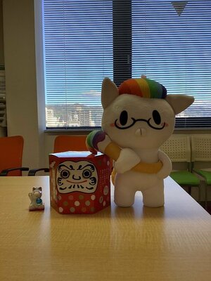 【高知】2026年が始まりました！