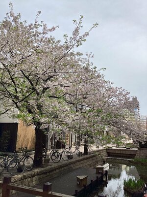 【高知】新年度が始まります❣