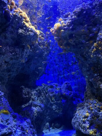Image_20250911_172203_672.jpeg