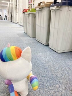 【京都】もう一度ごみの分別を見直しましょう！