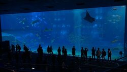 美ら海水族館①.jpg