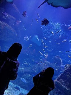 水族館④.jpg