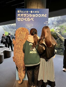 【京都】京都市水族館に行きました！