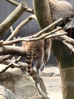 【京都】【京都】番外編！先生の好きなものは...？？