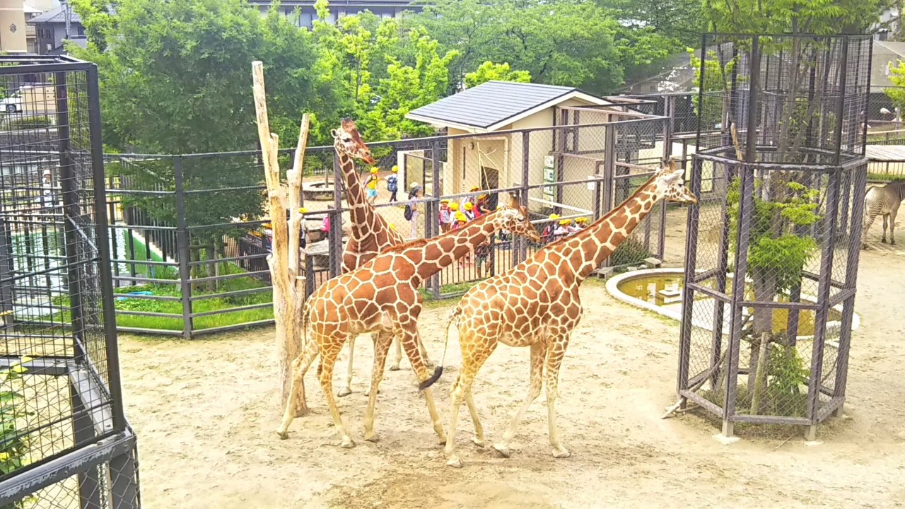 京都ブログ 校外学習の様子 (3).jpg