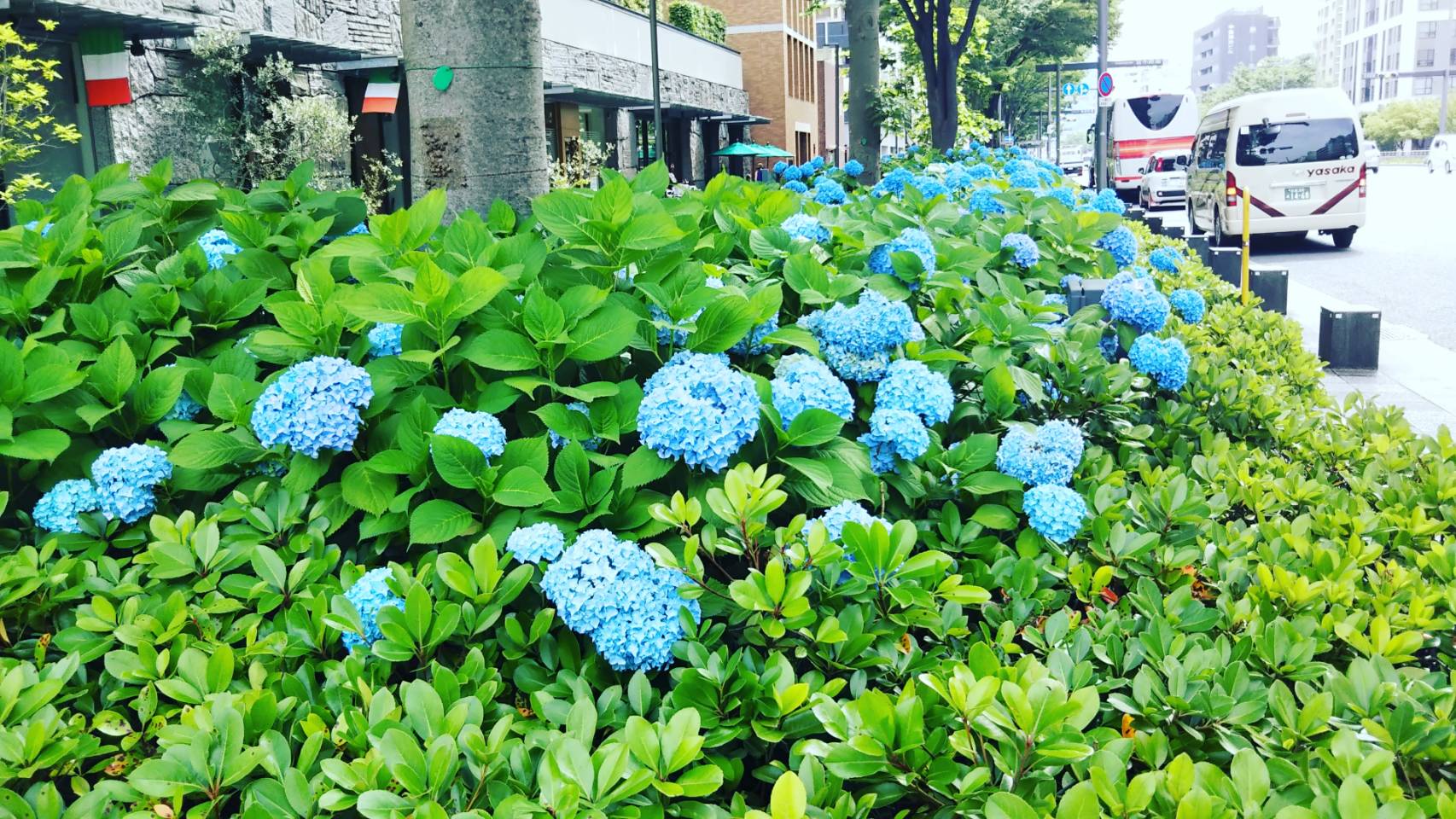 【京都】授業の一環として、映画鑑賞♪