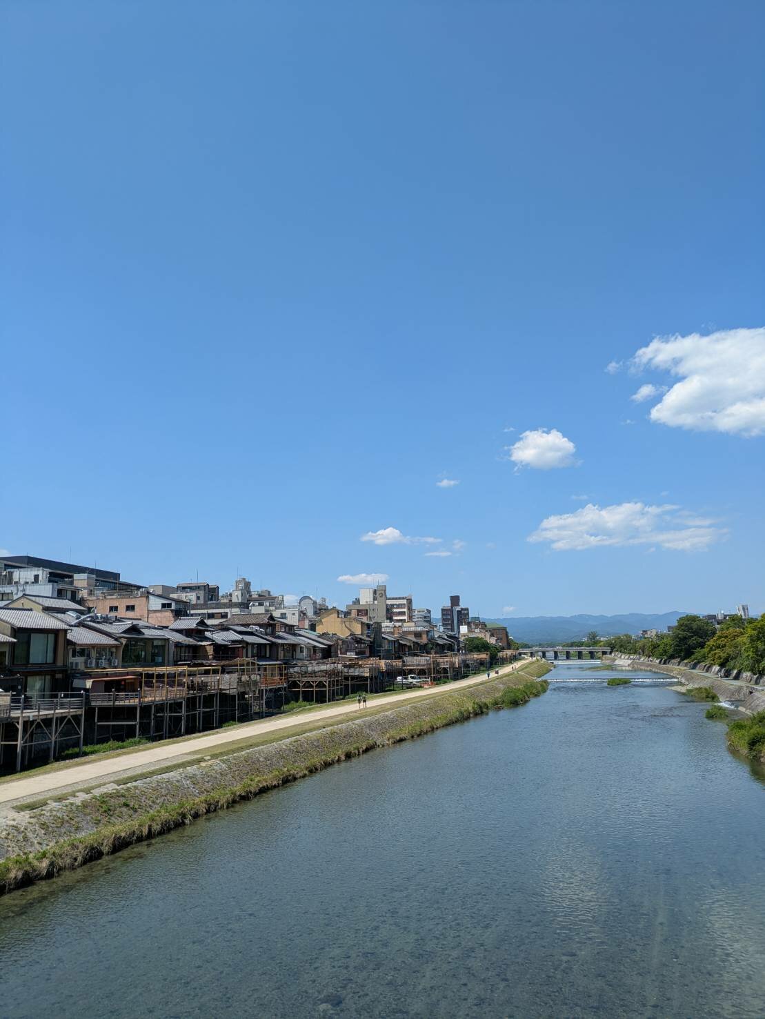 【京都四条通】校舎の近くに観光スポットが？！🦆