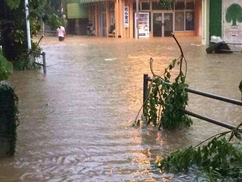 台風が去って・・・