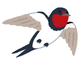 bird_tsubame.png