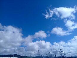 【名護】※夏休みの過ごし方の注意について※