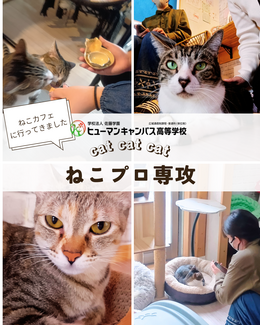 🐾 【ねこプロ専攻】ねこカフェで実習を行いました！