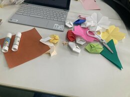Image_20261002_152437_457.jpeg