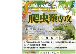 【名護市にある通信制高校】「好き」を専門知識に変える！新コース「爬虫類専攻」誕生🦎✨