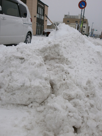 重～い雪で先生の体が・・・・？！