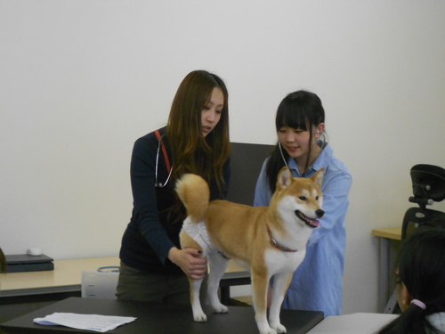 【室蘭】生徒を惹きつける体験型授業ーまたやります～（計画中）