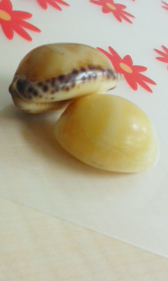【室蘭】北海道人が羨ましくなるくらいの暖かい砂浜で・・・