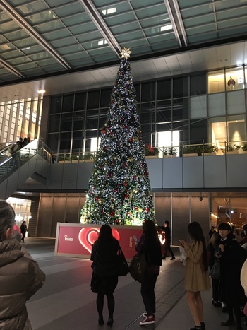 【名古屋第二】クリスマスツリーが...♪