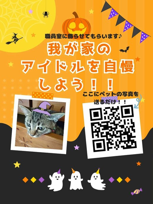  【名古屋駅前】職員室前はハロウィン🎃フォトスポット？我が家のアイドル自慢？？★