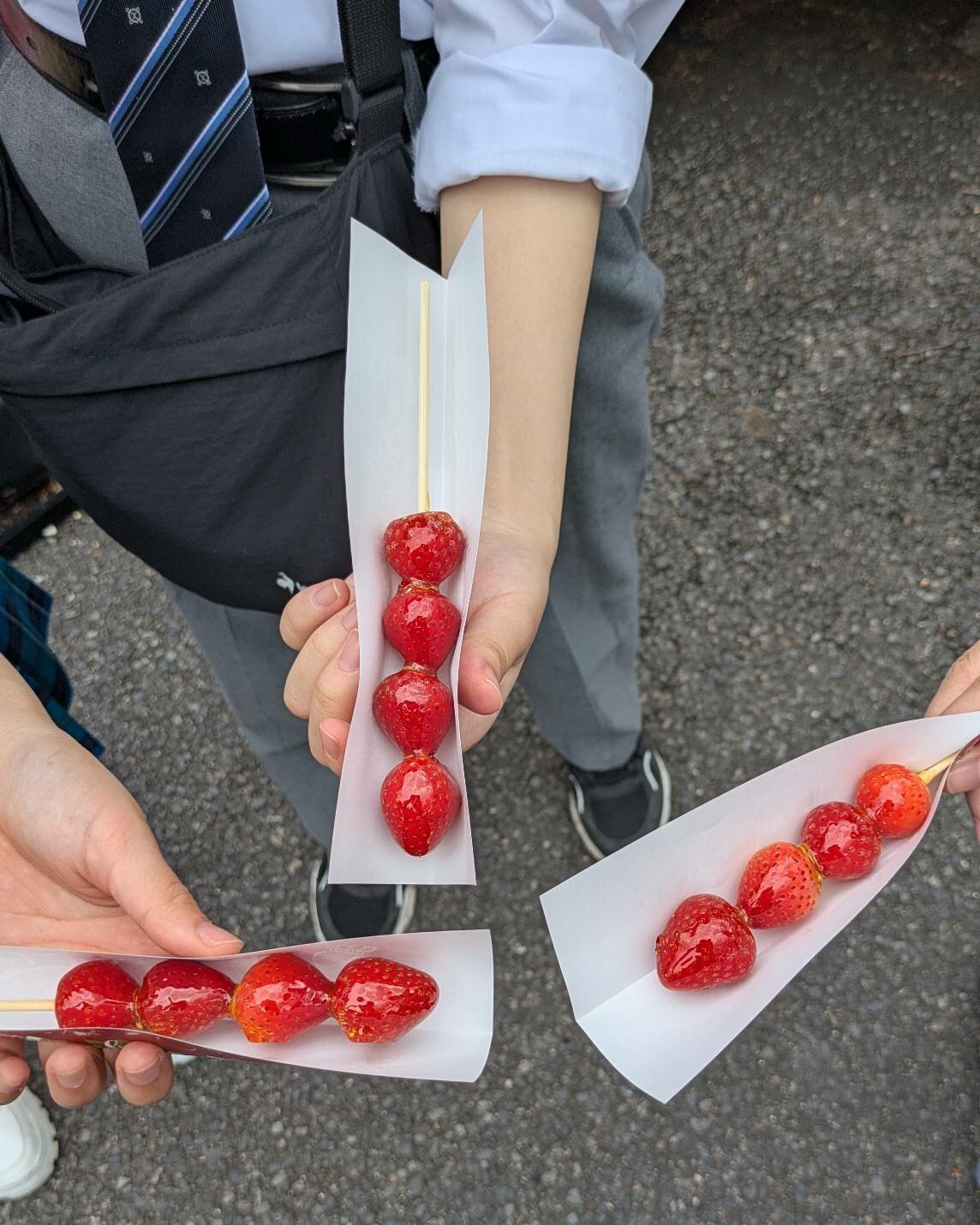 https://www.hchs.ed.jp/campus/nagoya/images/1e24e88c383bc222765c2a98b6495ac6c68815bf.jpg