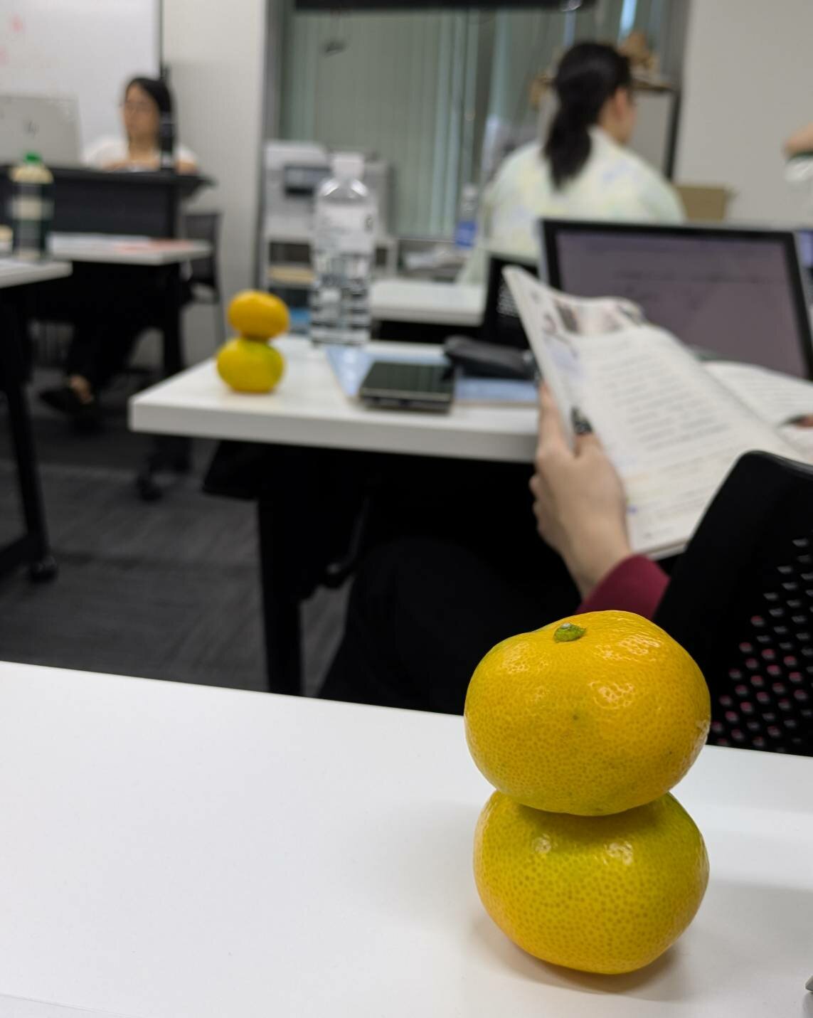 https://www.hchs.ed.jp/campus/nagoya/images/7d014afd7e887f955a72fe4df6b8a2db21ff26a0.jpg