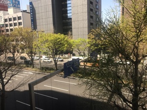 【名古屋】春らしいお天気