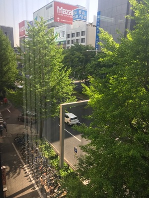 【名古屋】今日の名古屋はいいお天気