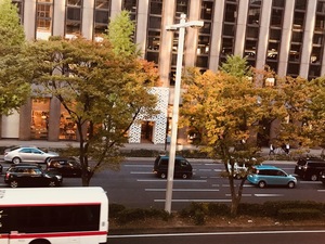 【名古屋】秋らしい色になってきました