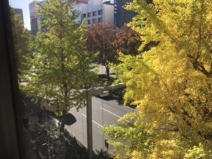 【名古屋】紅葉見に行こうよう♪