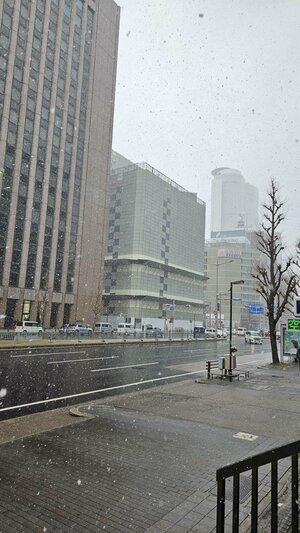 【名古屋】雪だぁ～😆