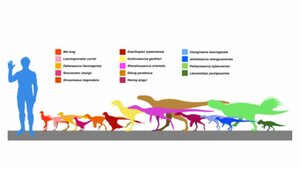 【名古屋】恐竜専攻🦖から💡恐竜大好きなあなたへ✉️恐竜選挙ランキングご紹介🦕