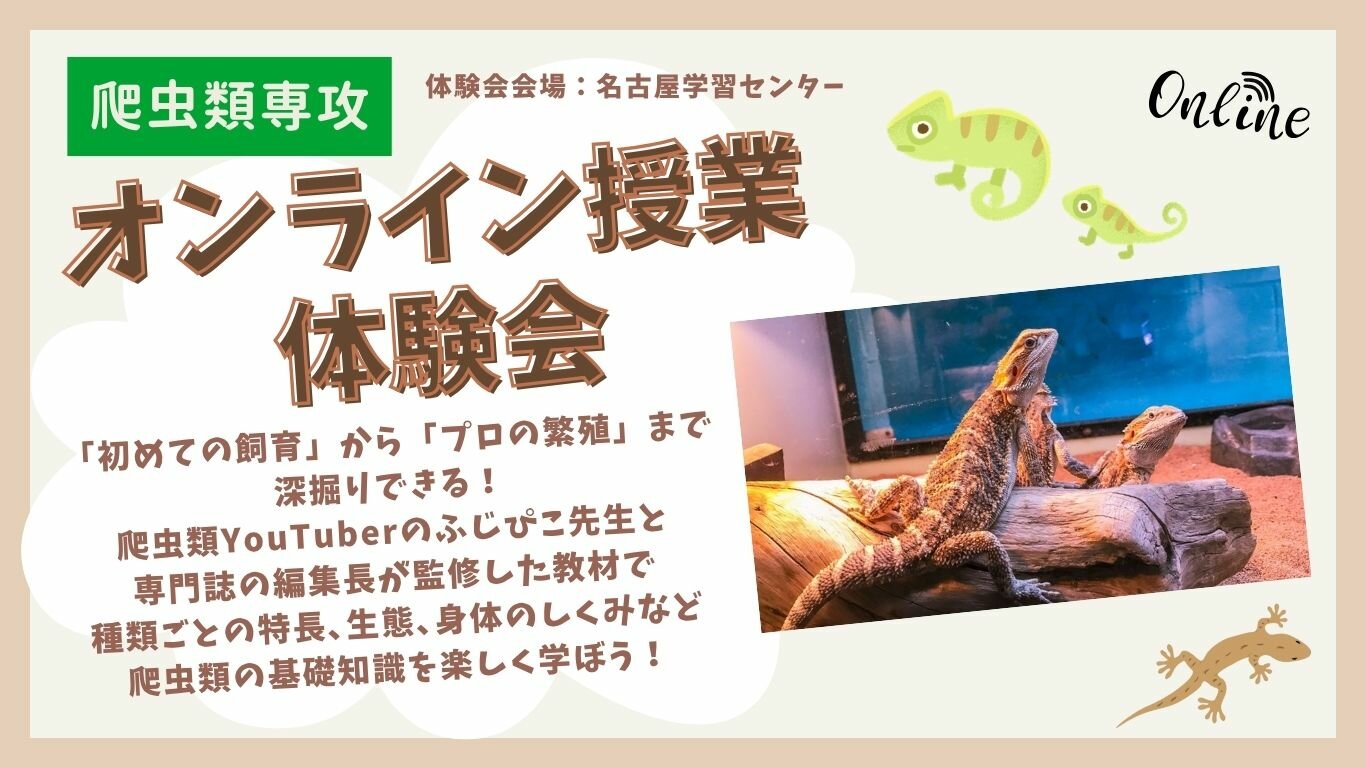 HC名古屋_ｵﾝﾗｲﾝ爬虫類専攻体験会.jpg