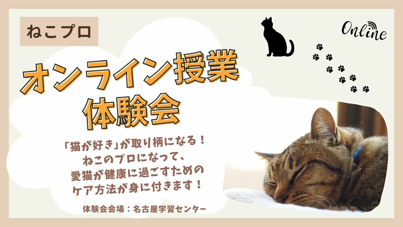HC名古屋_オンラインねこプロ体験会.jpg