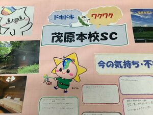 IMG_0962.JPEG