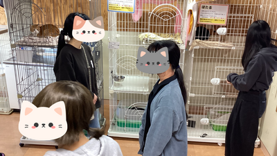 あつまれべんとうの民！ ～ハーベストフェスティバル～ (5).png