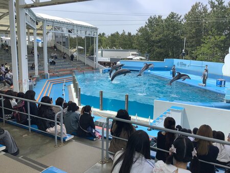 IMG_0728.JPEG