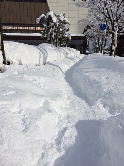 【新潟】新センター長登場