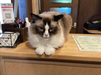 IMG_2777.JPEG