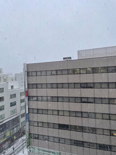【新潟】新潟の空には白いふわふわがたくさん...
