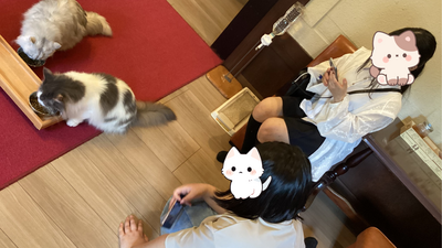 ブログ用 (27).png